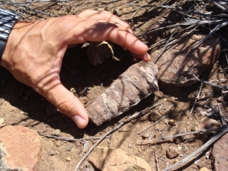 Observacion de la naturaleza
